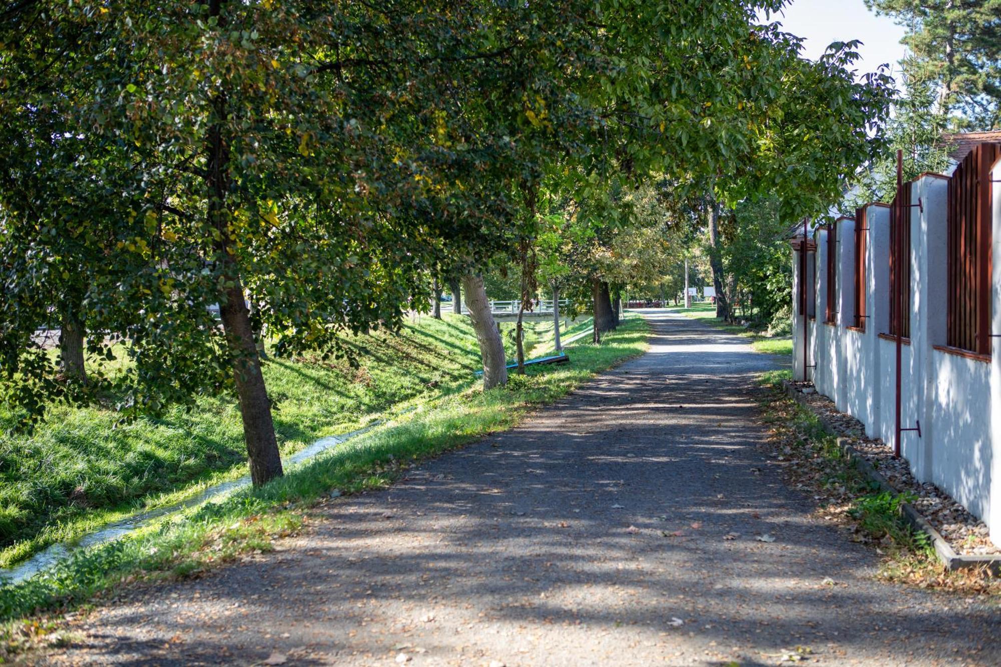 Penzion Lederer Dolní Dunajovice 外观 照片